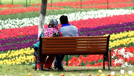 Jammu and Kashmir Honeymoon Package