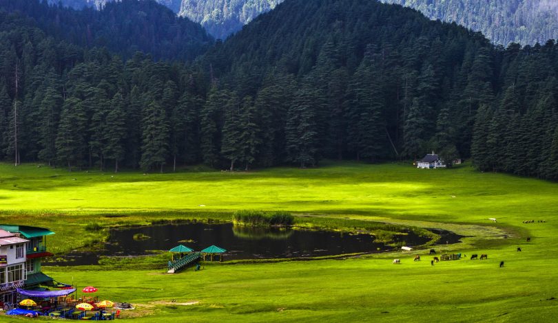 khajjiyar199