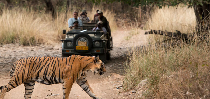 ranthambhore-national-park