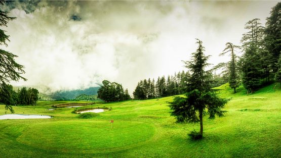 Shimla Kufri Naldehra