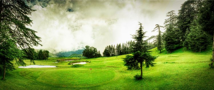 Shimla Kufri Naldehra