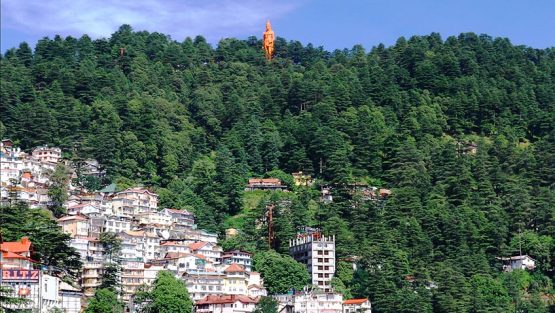 Shimla Local Package