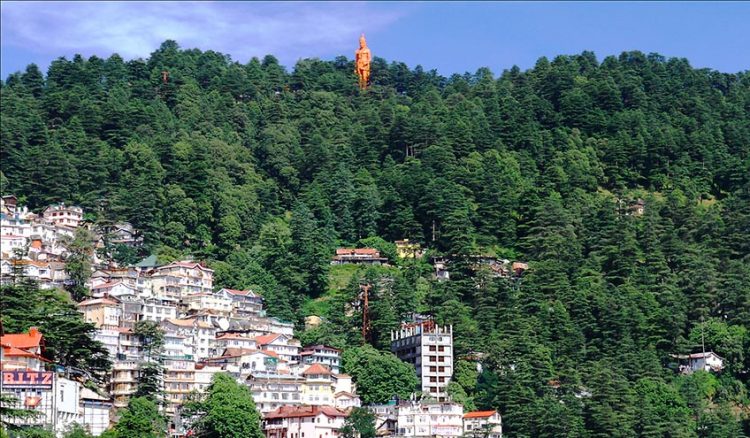 Shimla Local Package